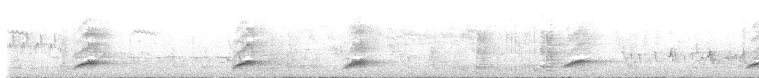 Satin Bowerbird - ML642881584