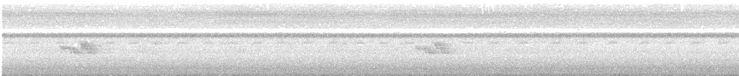 ハシブトアメリカムシクイ - ML642882068
