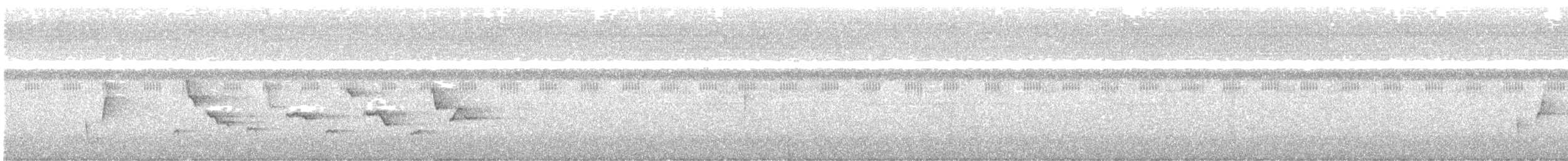 Riverside Wren - ML642882119