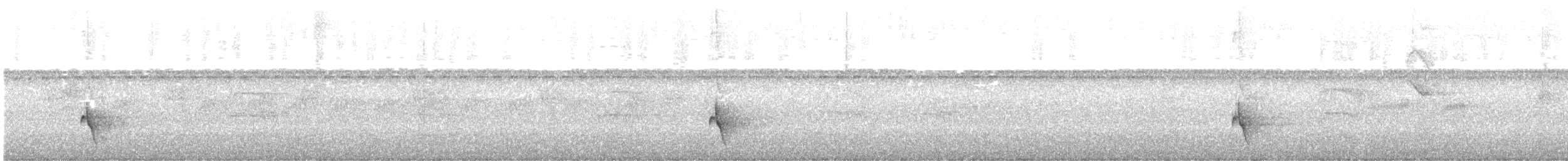 Riverside Wren - ML642882120