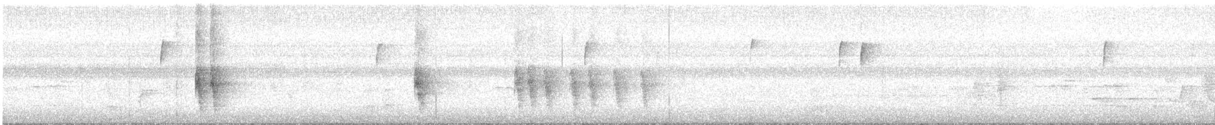 Northern Mockingbird - ML642882189