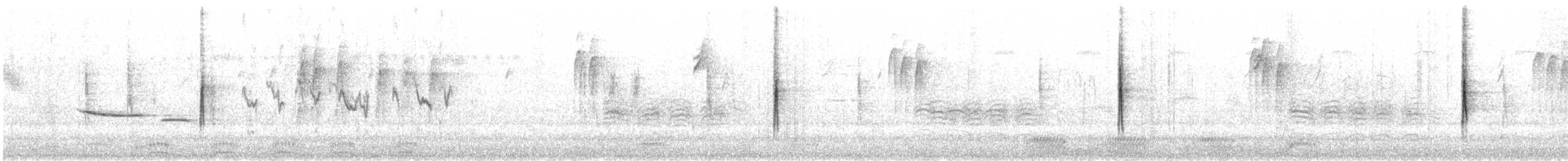 Reinita Coronada (coronata) - ML642882334