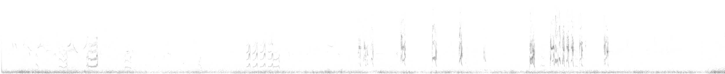 Semipalmated Sandpiper - ML642882511