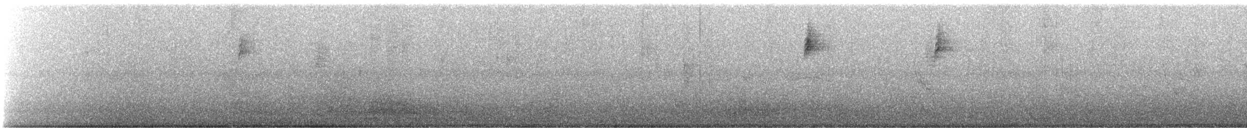 new world warbler sp. - ML642882808