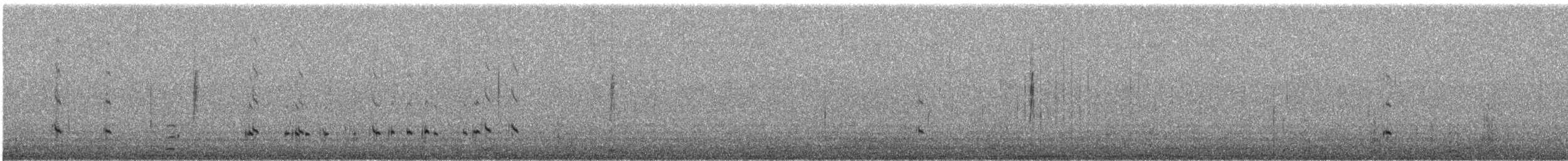 Black-bellied Plover - ML642883081
