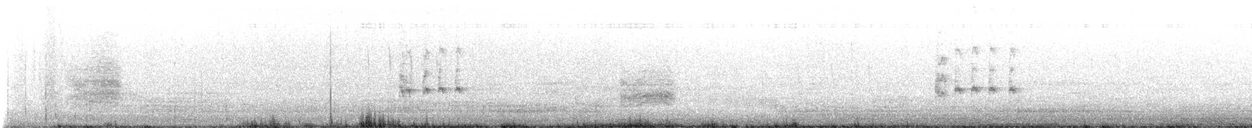 American Barn Owl - ML642883205