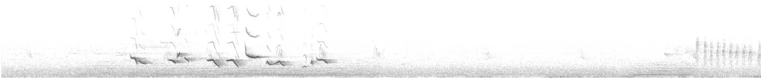 Baltimore Oriole - ML642883665
