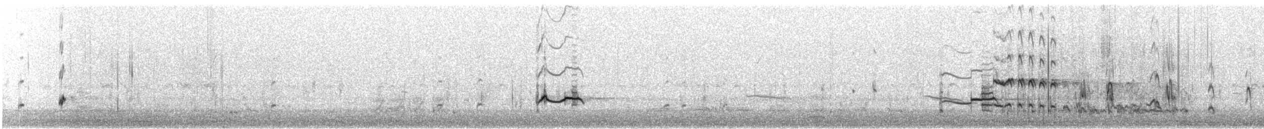 Black-bellied Plover - ML642883802