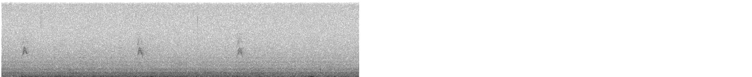 Song Sparrow - ML642884726