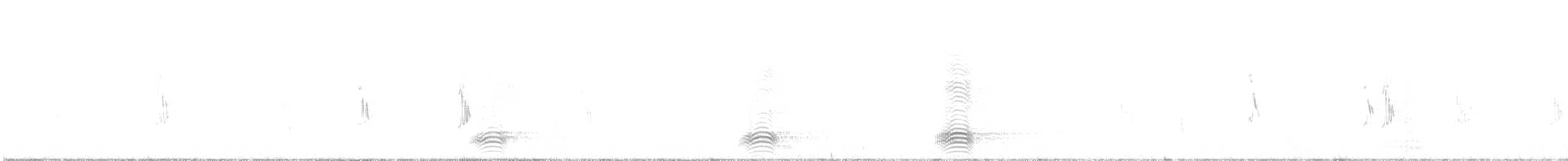 crow sp. - ML642885726