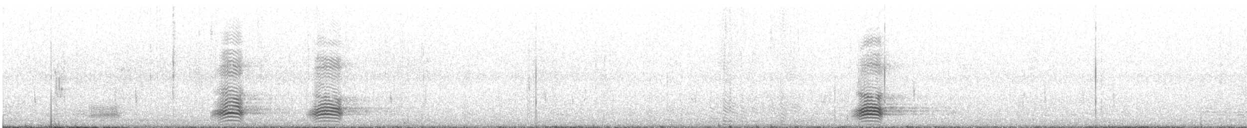 crow sp. - ML642885727