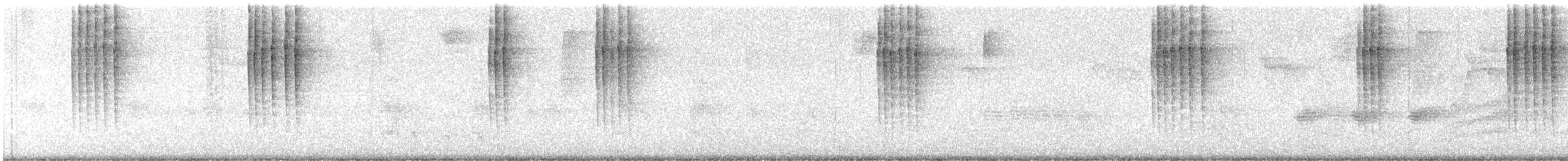 Pacific Wren - ML642885831