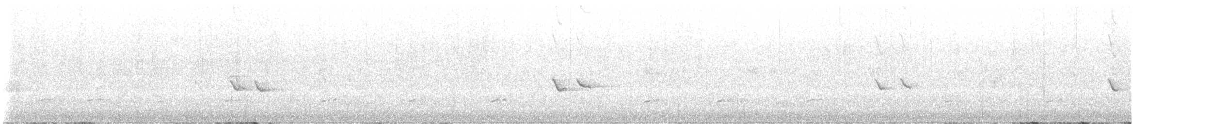 hýl křivčí - ML642886461
