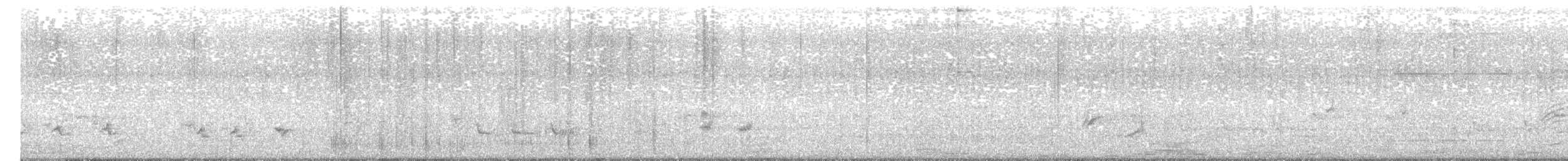 Northern Mockingbird - ML642886652