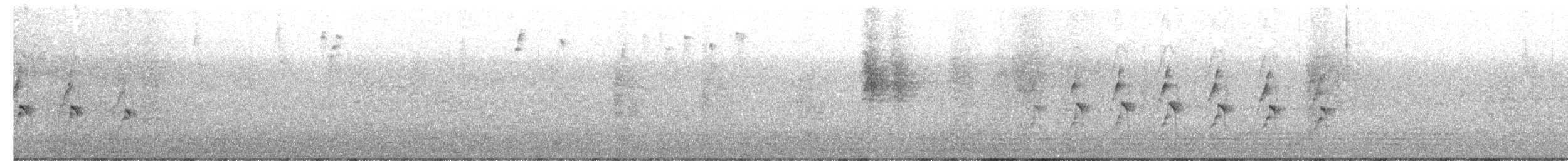 Orange-eyed Thornbird - ML642886773