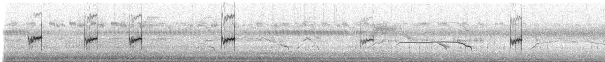 Bécasseau minuscule - ML642887253