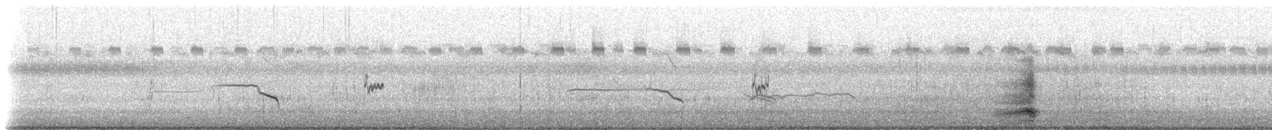Bécasseau minuscule - ML642887267
