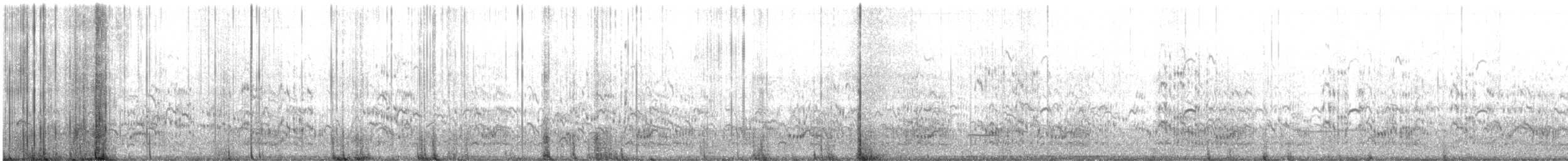 שחפית הדורה - ML642889317