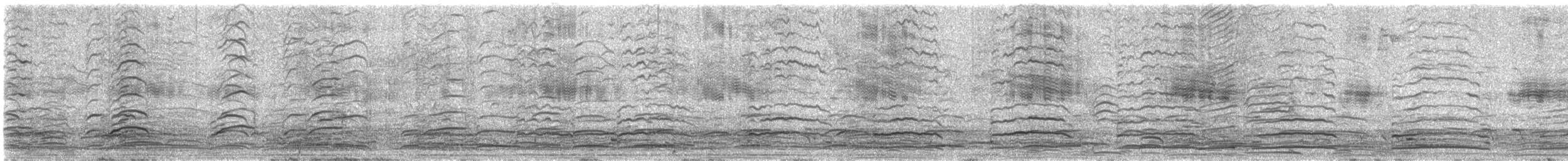 Tarro Maorí - ML642889950
