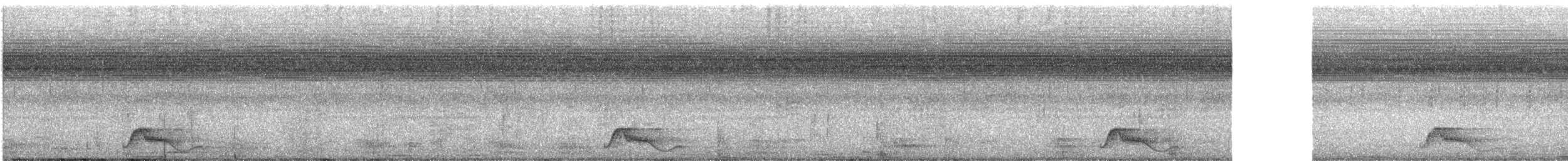 pauraquenattravn - ML642891422