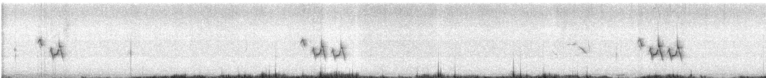 Wedge-tailed Grass-Finch - ML642894659