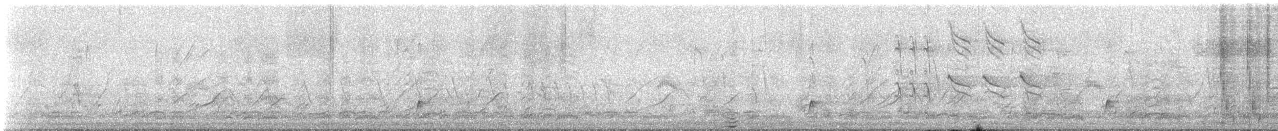 null - ML642895592