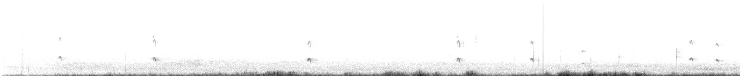 Bécassin à long bec - ML642898359