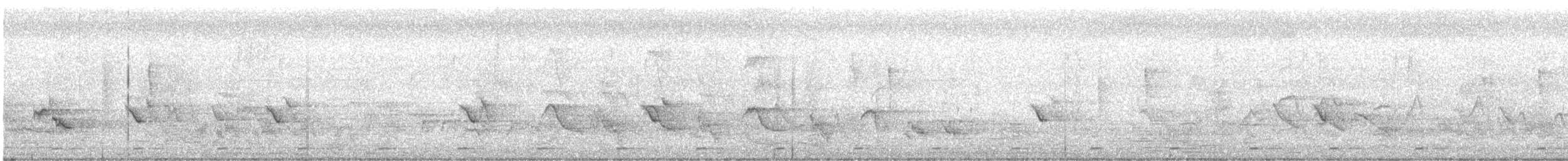 Al Göğüslü Barbet - ML642898410