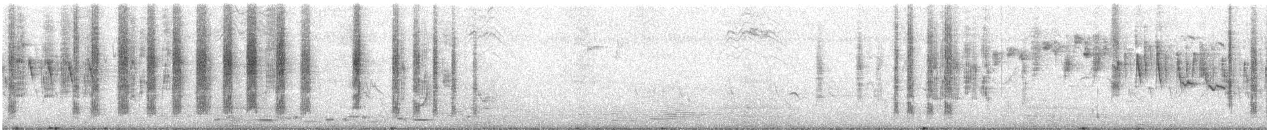 Striated Thornbill - ML642899007