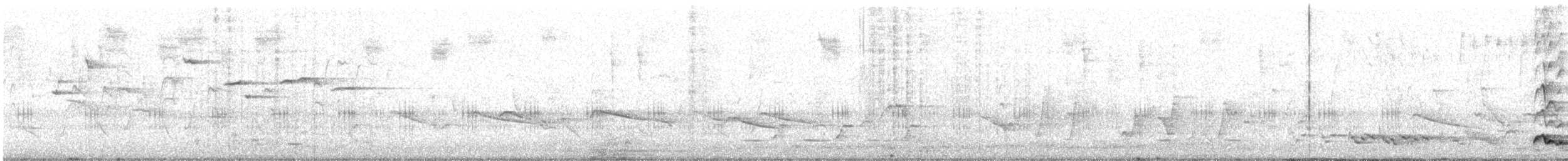 Noisy Friarbird - ML642899637