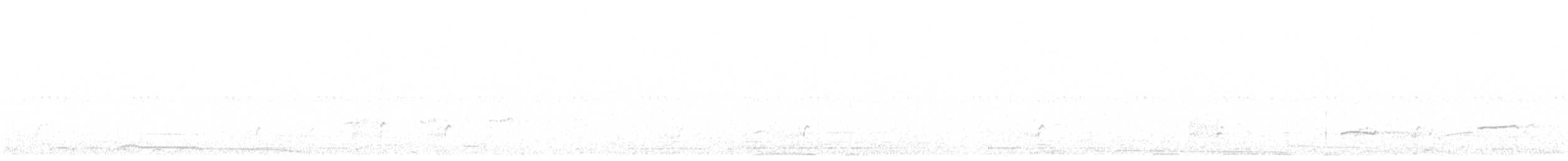 イシチドリ - ML642900814