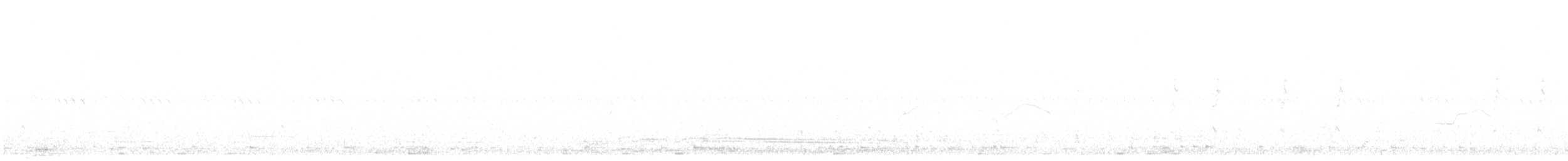 Кеклик червононогий - ML642900853
