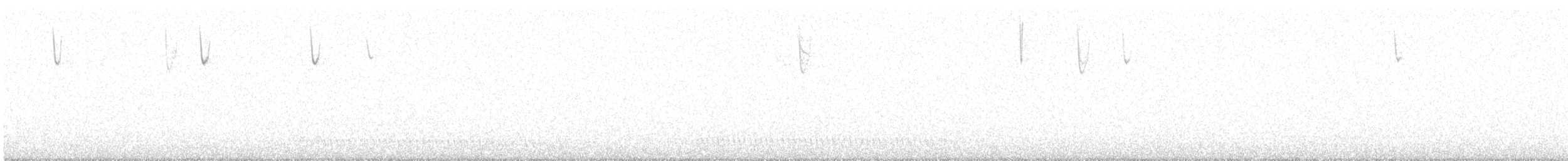 Chipping Sparrow - ML642901273