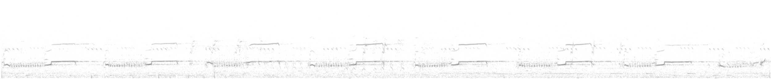 Eurasian Thick-knee - ML642901277