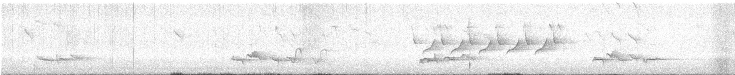 Grive draine - ML642901486