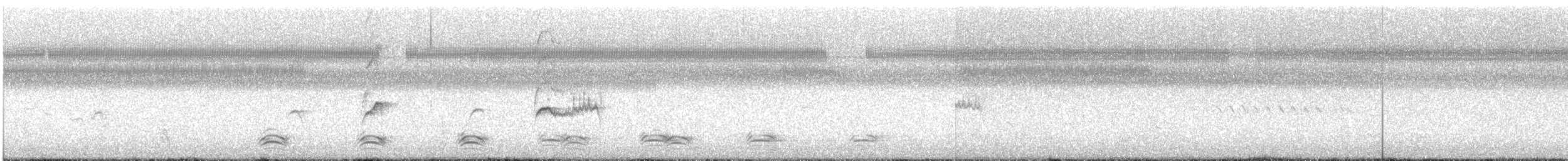 vrána tlustozobá - ML642901670