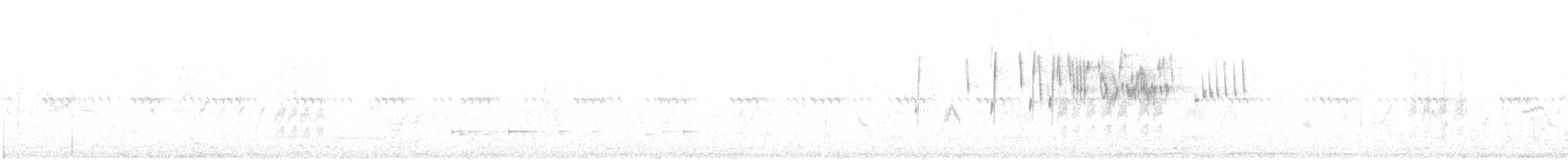 Bruant proyer - ML642902691