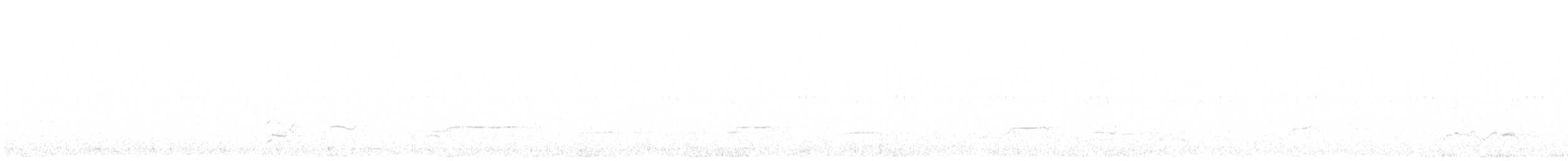 Eurasian Thick-knee - ML642902899