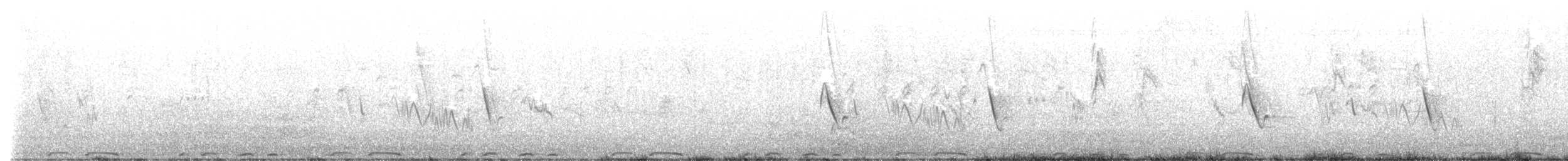 Halbmondtaube - ML642902980