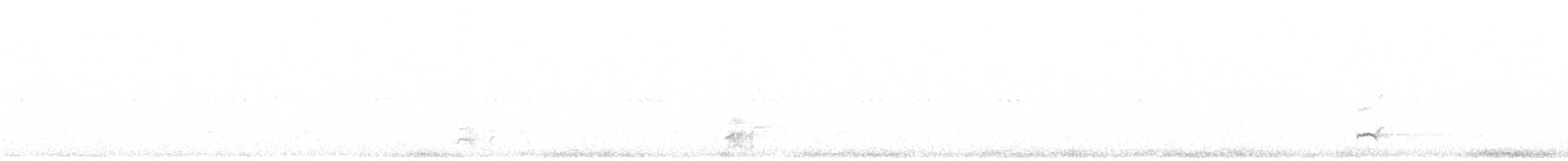 כרוון מצוי - ML642902981