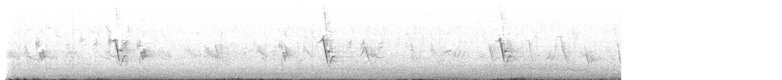 Kapsperling - ML642902998