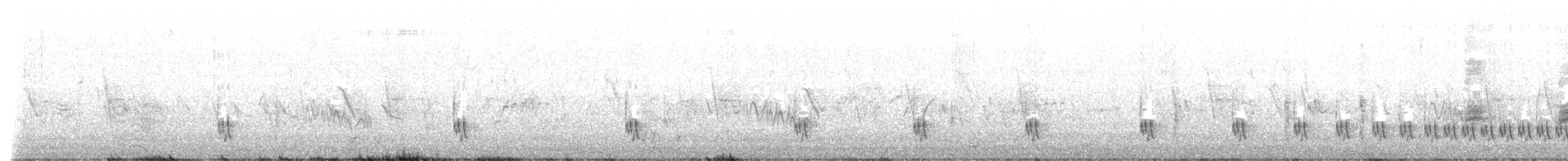 Little Rush Warbler - ML642903011