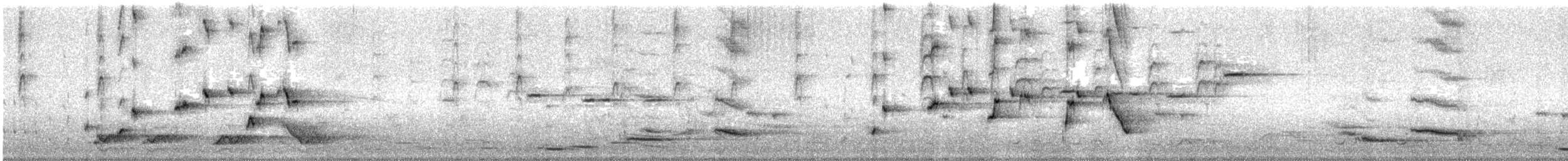 Willie-wagtail - ML642903833