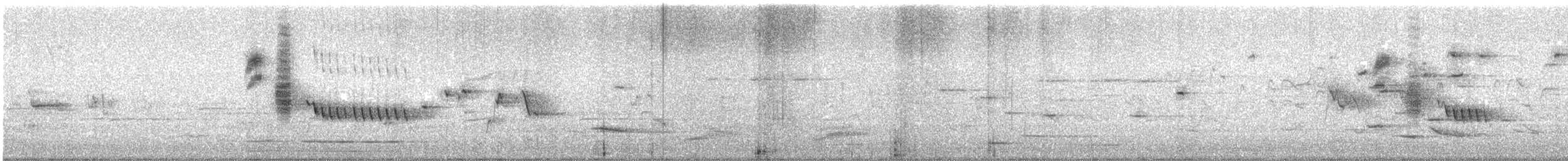 Brown Thornbill - ML642903835