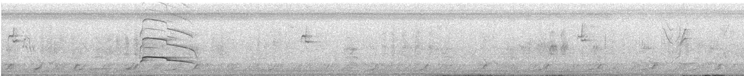 Gray-lined Hawk - ML642904090