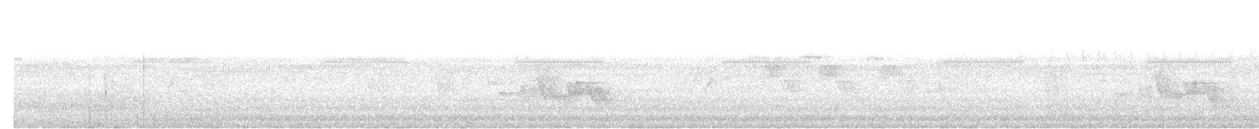 bruntesia - ML642904152