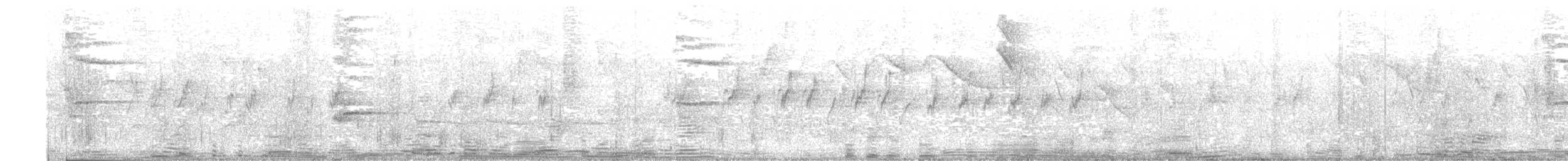 Blacksmith Thrush - ML642904934