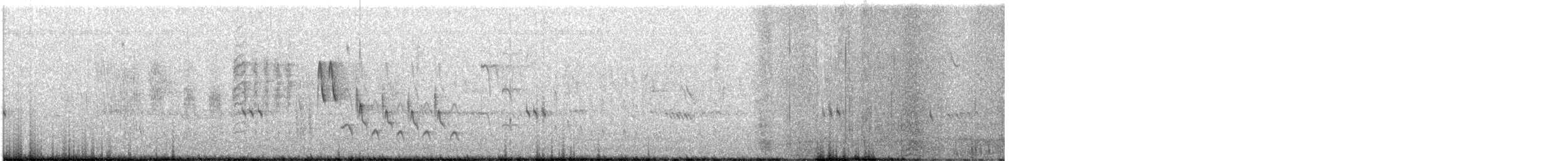 Southern House Wren - ML642905602