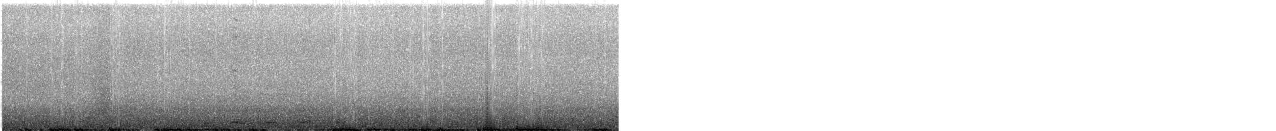 hvitstrupetapakulo - ML642906058