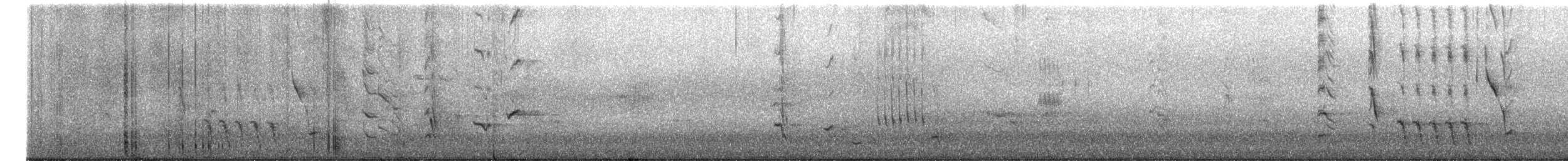 Austral Blackbird - ML642906101